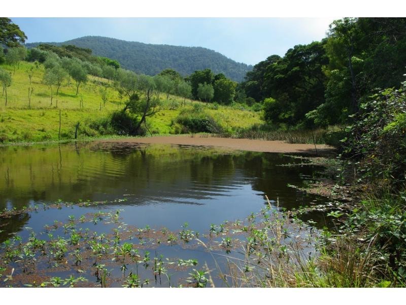 211a Punkalla Tilba Road, Central Tilba NSW 2546