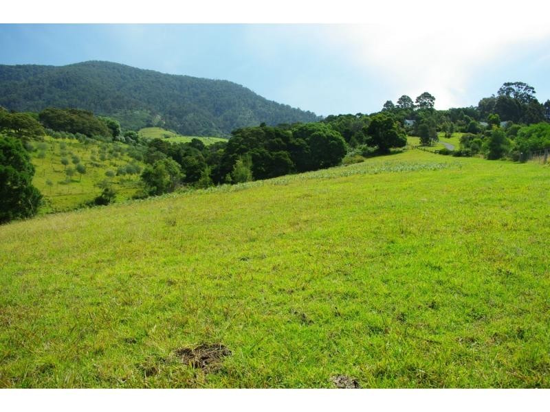 211a Punkalla Tilba Road, Central Tilba NSW 2546