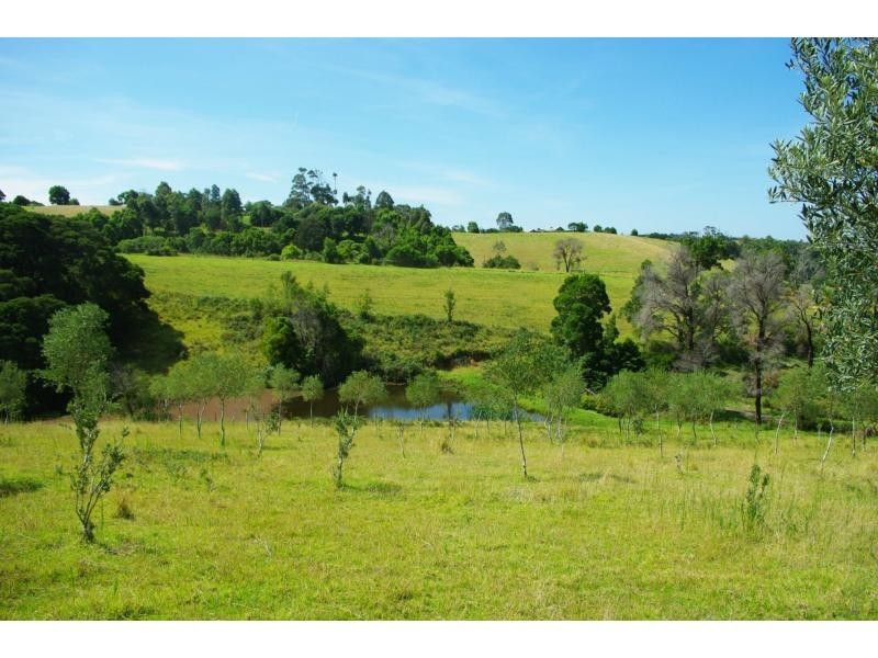 211a Punkalla Tilba Road, Central Tilba NSW 2546