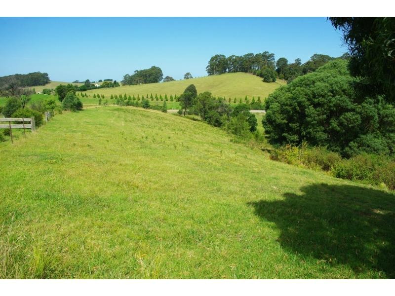 211a Punkalla Tilba Road, Central Tilba NSW 2546