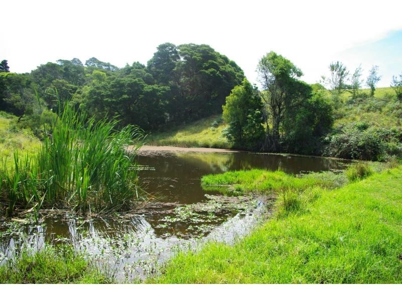 211a Punkalla Tilba Road, Central Tilba NSW 2546