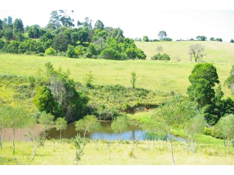 211a Punkalla Tilba Road, Central Tilba NSW 2546