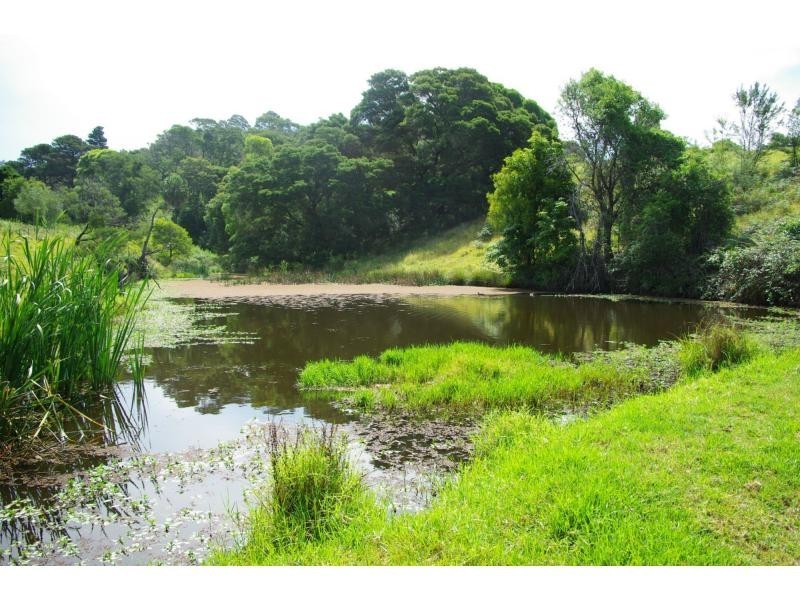 211a Punkalla Tilba Road, Central Tilba NSW 2546