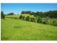 211a Punkalla Tilba Road, Central Tilba NSW 2546