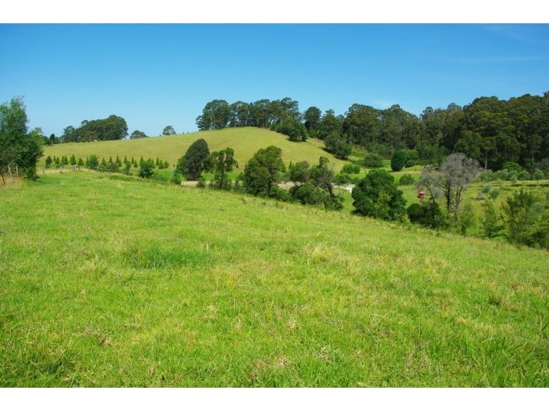 211a Punkalla Tilba Road, Central Tilba NSW 2546