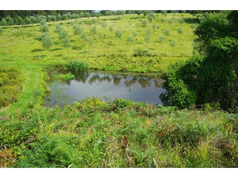 211a Punkalla Tilba Road, Central Tilba NSW 2546