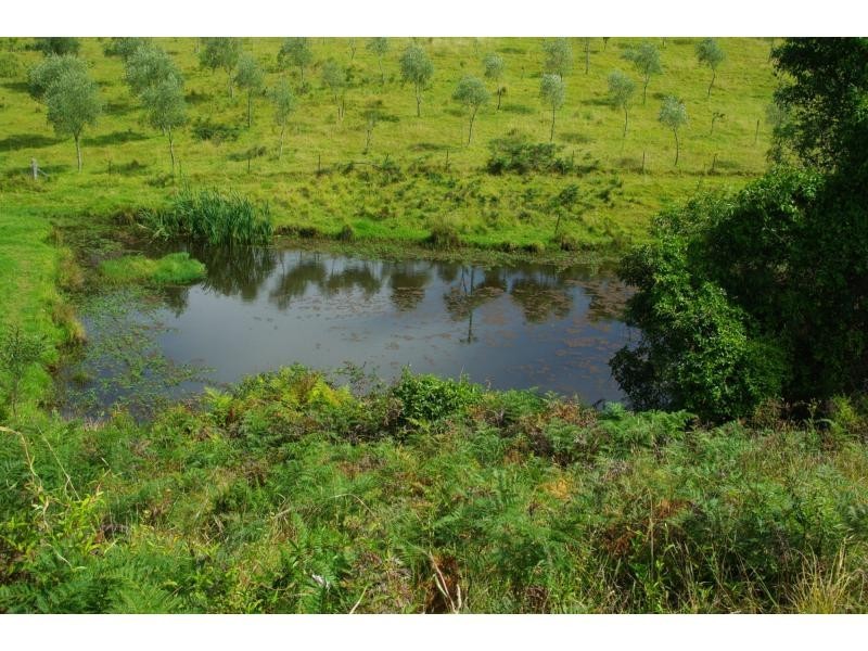 211a Punkalla Tilba Road, Central Tilba NSW 2546