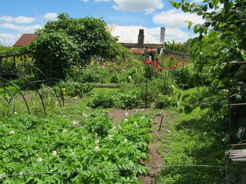 6 Narira Street, Cobargo NSW 2550