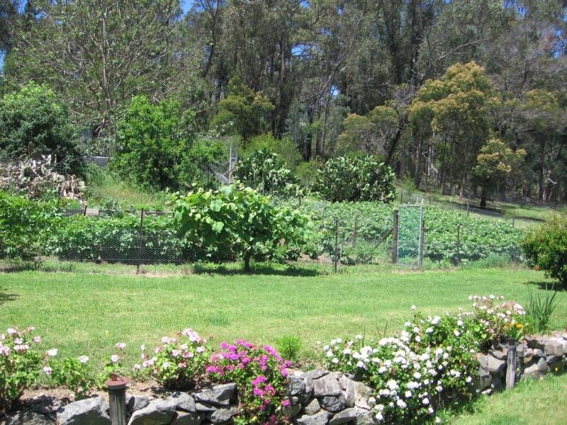 8 Ridge Road, Coolagolite, Bermagui NSW 2546