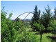 8 Ridge Road, Coolagolite, Bermagui NSW 2546