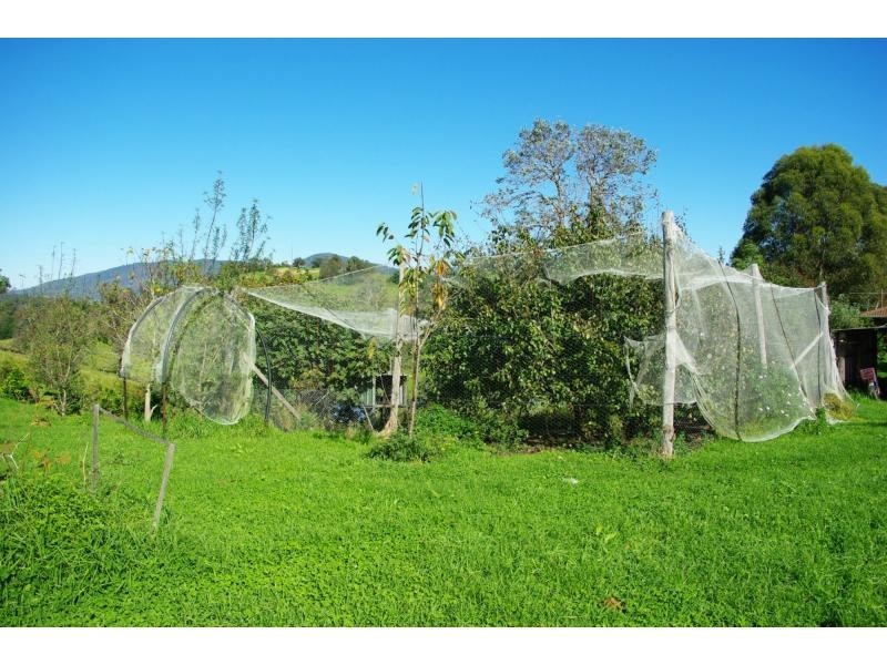 81 Yowrie Road, Cobargo NSW 2550