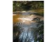 422. Benny Gowings Road, The Murrah, Bermagui NSW 2546