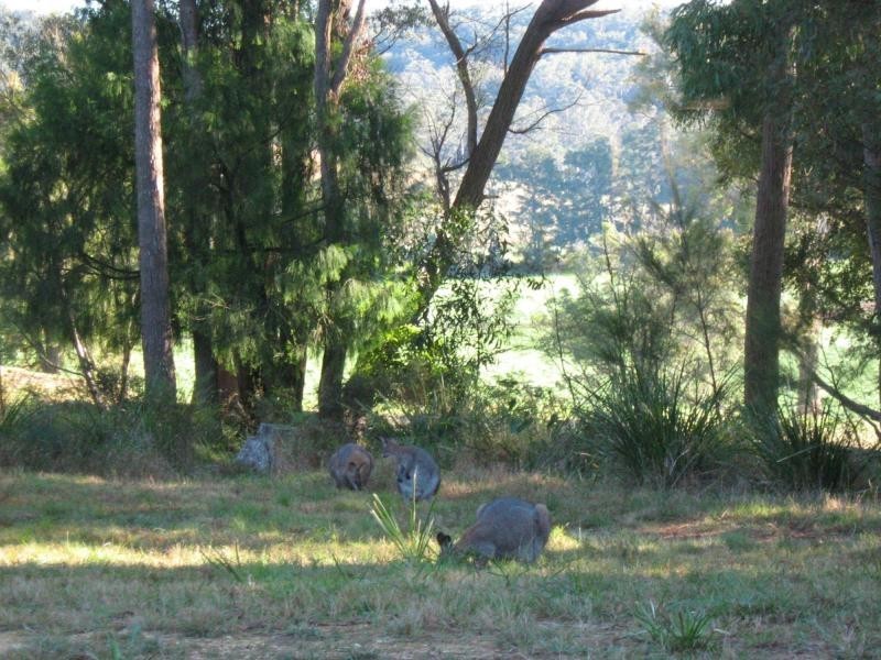 422. Benny Gowings Road, The Murrah, Bermagui NSW 2546
