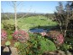 104 Lyrebird Ridge Road, Coolagolite, Bermagui NSW 2546