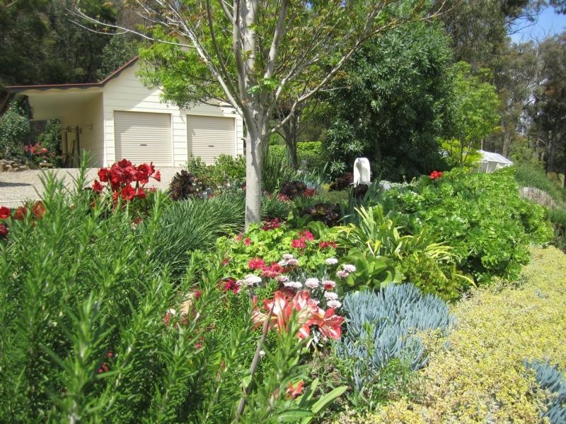 104 Lyrebird Ridge Road, Coolagolite, Bermagui NSW 2546