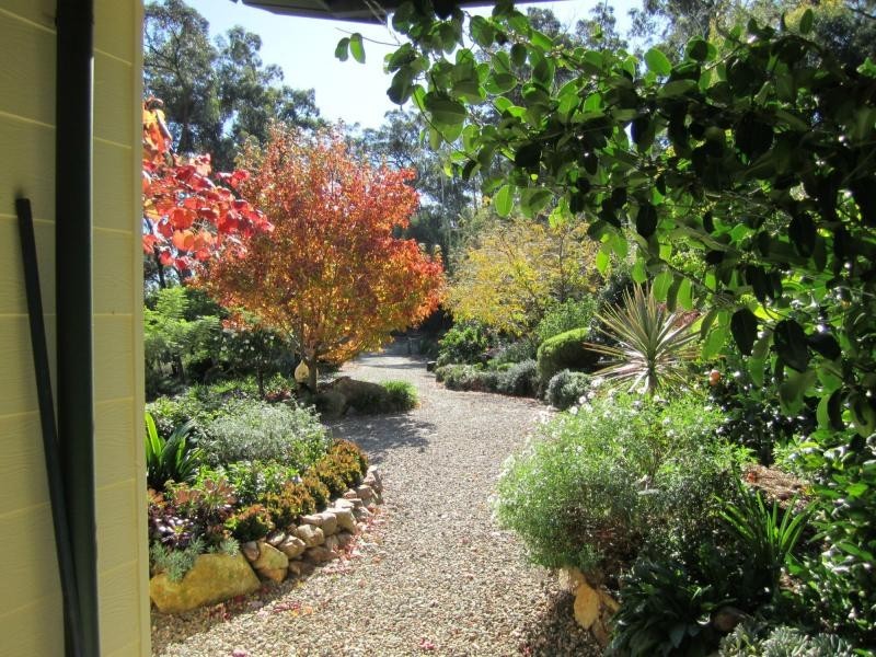 104 Lyrebird Ridge Road, Coolagolite, Bermagui NSW 2546