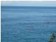 1. Scenic Drive, Bermagui NSW 2546