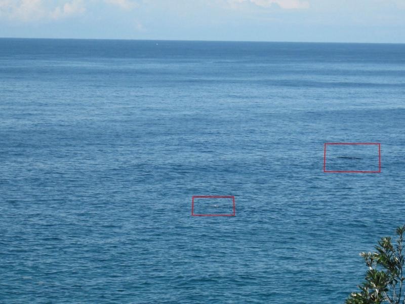 1. Scenic Drive, Bermagui NSW 2546