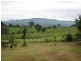 Cobargo NSW 2550