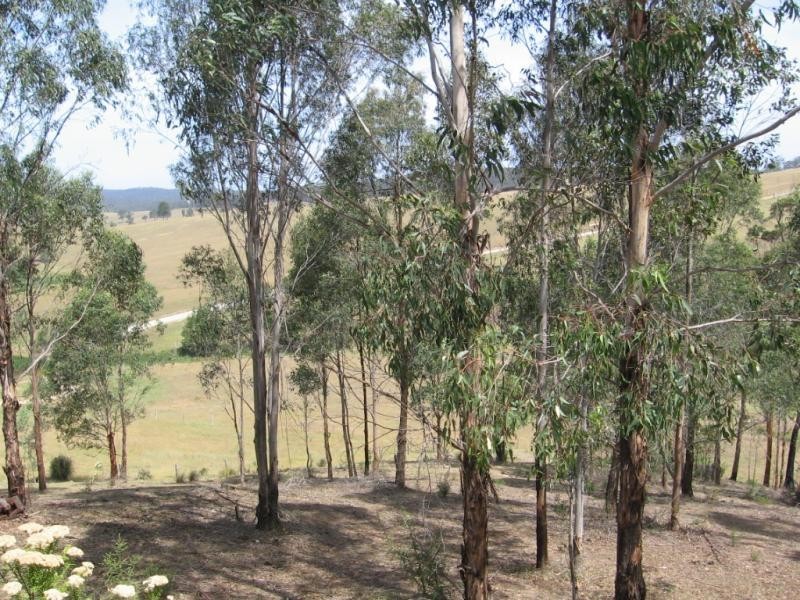 Coolagolite NSW 2550