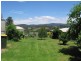 8 Ridge Road, Coolagolite, Bermagui NSW 2546
