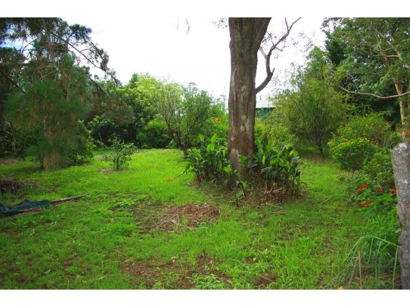 14 Hoyer Street, Cobargo, Cobargo NSW 2550