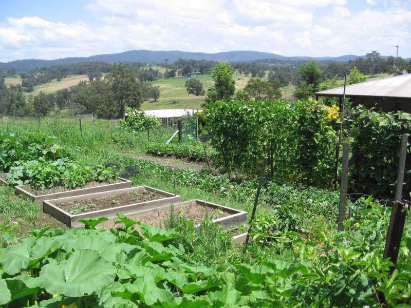 8. Ridge Road, Coolagolite, Bermagui NSW 2546
