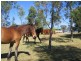 L214 Christophers Road, Quaama, Cobargo NSW 2550
