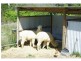 65. Strudwicks Road, Bermagui NSW 2546