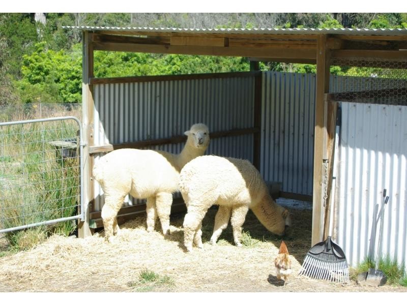 65. Strudwicks Road, Bermagui NSW 2546