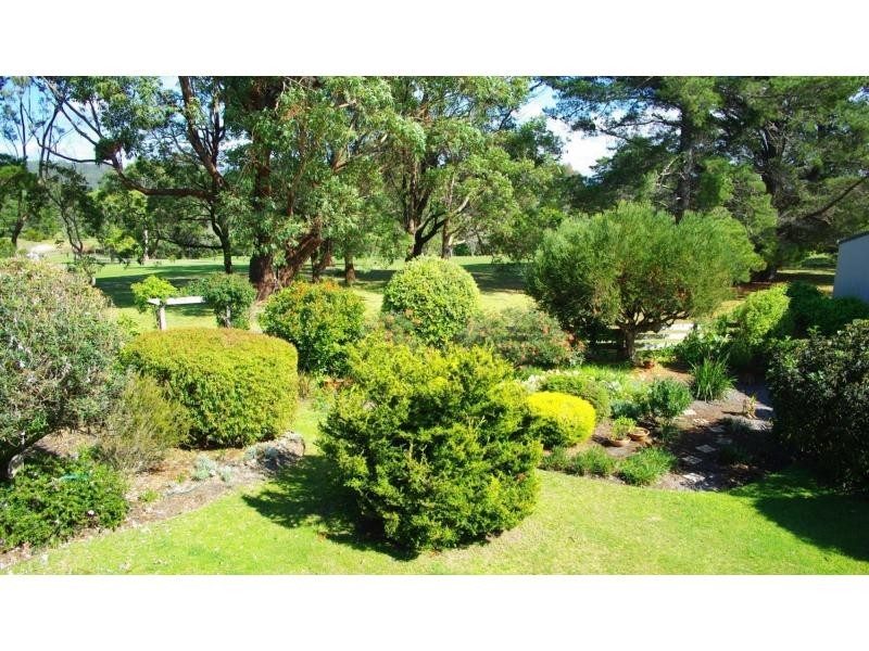 38 Mumbulla Street, Bermagui NSW 2546