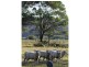 L59 Racecourse Road, Bermagui NSW 2546