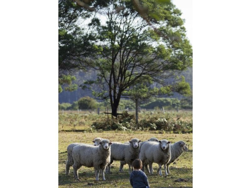 L59 Racecourse Road, Bermagui NSW 2546