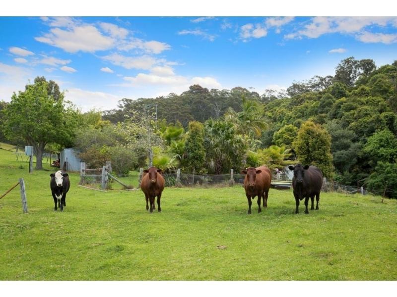 146 Nutleys Creek Road, Bermagui NSW 2546