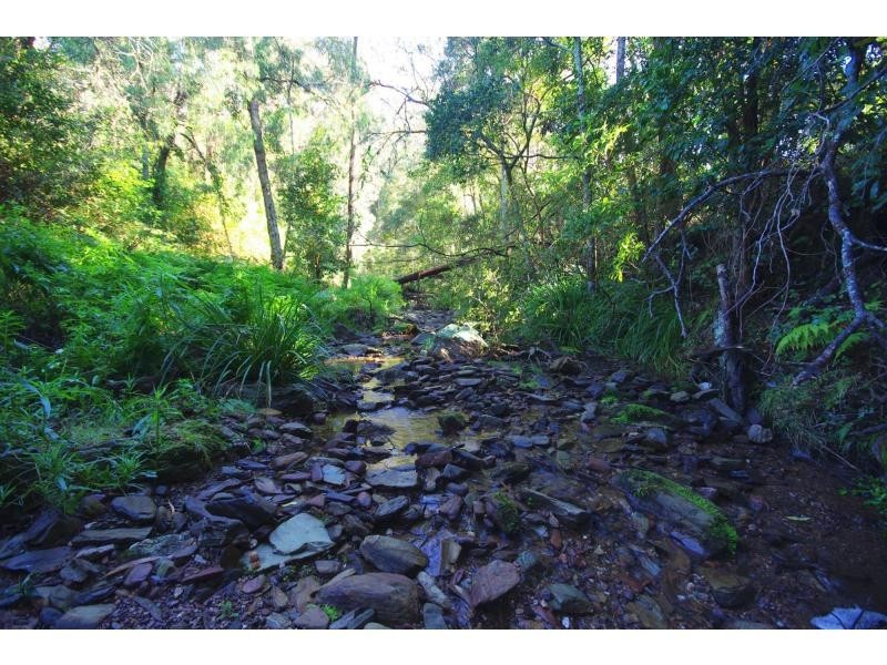 326 Ridge Road, Central Tilba NSW 2546
