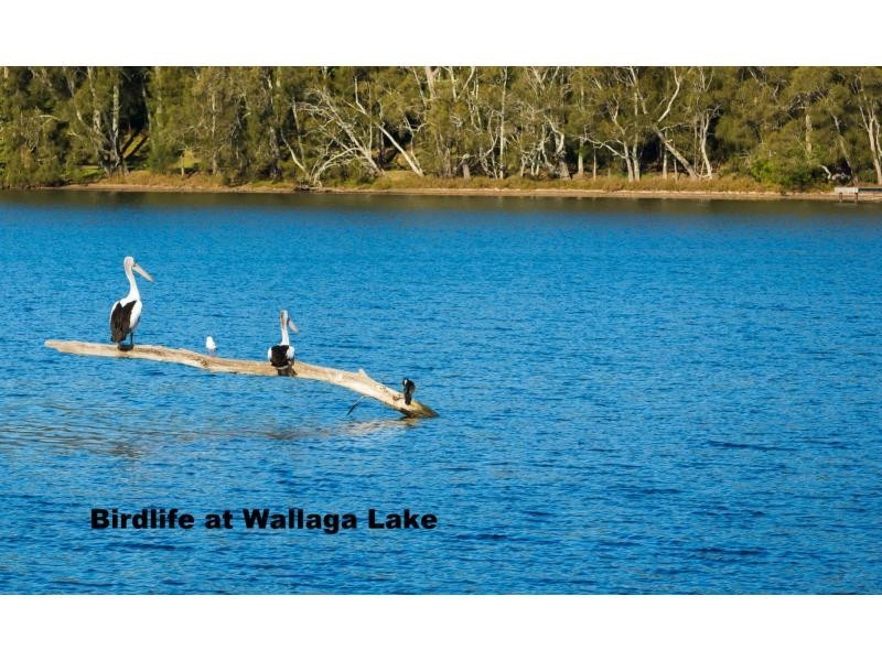 8 Fern Tree Road, Ocean Lake Park, Bermagui NSW 2546