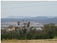 7 Spring Street, Tambar Springs NSW 2381