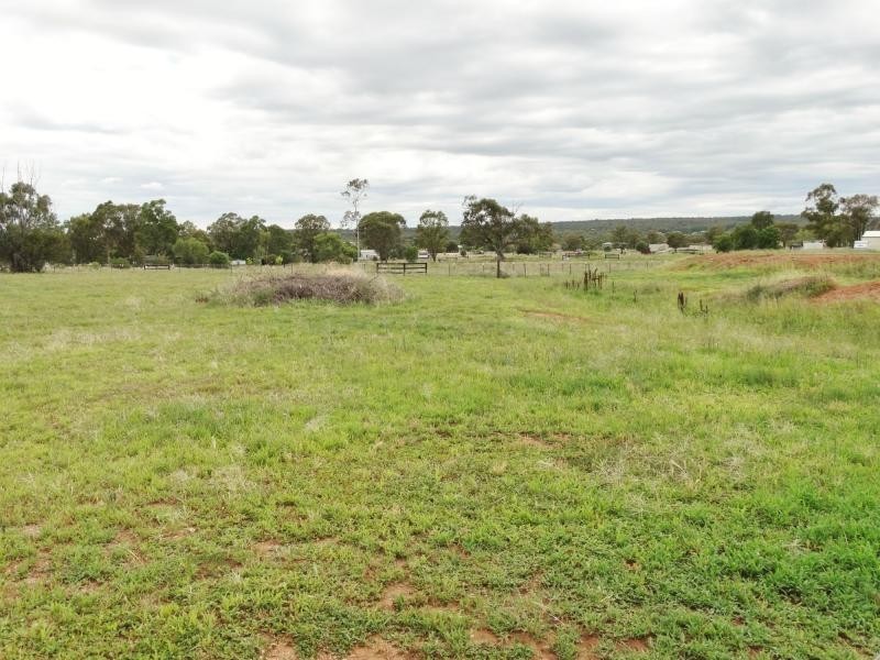 18 Carlyon Avenue, Gunnedah NSW 2380