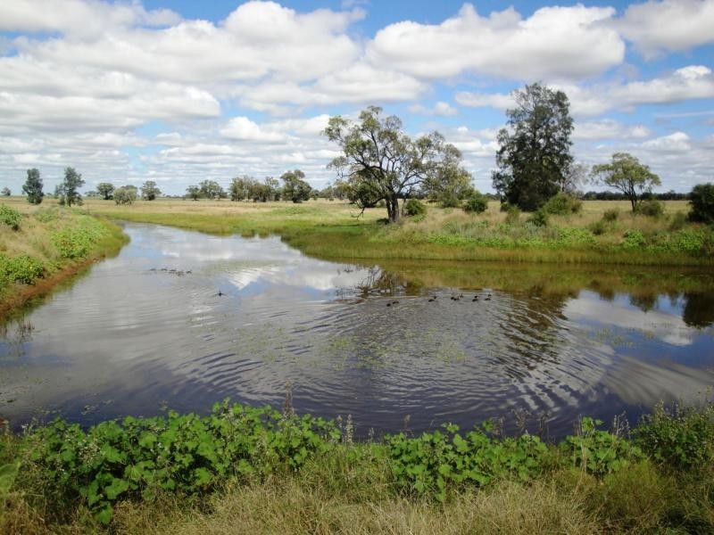 269 Wilga View Lane, Boggabri NSW 2382