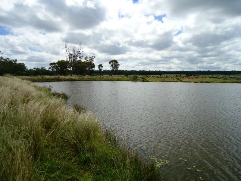 239 Wilga View Lane, Boggabri NSW 2382