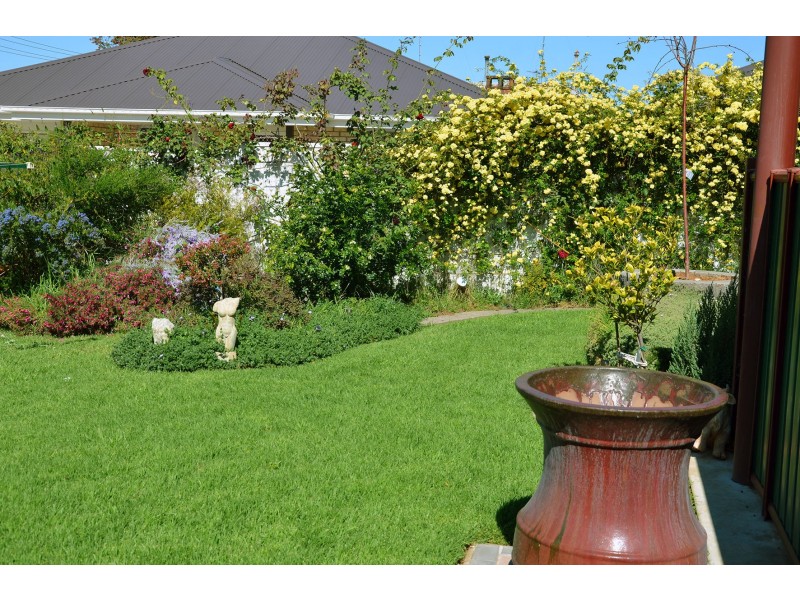 19 Abbott Street, Gunnedah NSW 2380