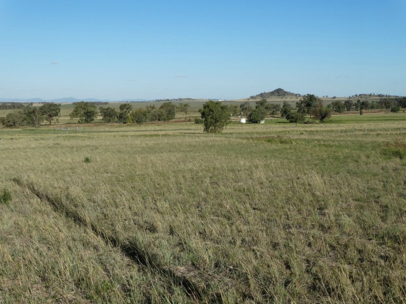 11-15 Eveleigh Road, Gunnedah NSW 2380