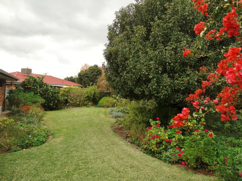 13 Gallen Avenue, Gunnedah NSW 2380