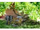 22 Abbott Street, Gunnedah NSW 2380
