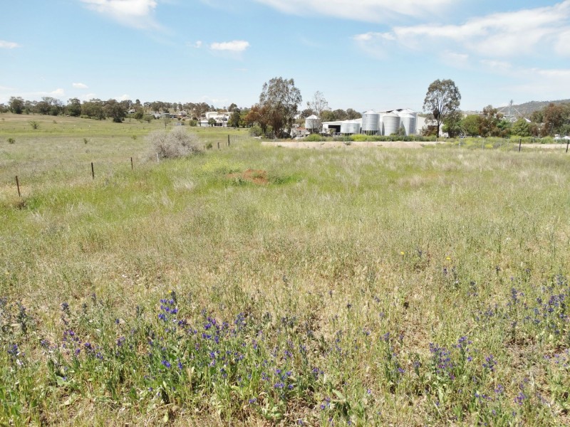 4 Bedford Drive, Gunnedah NSW 2380