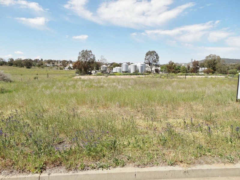 4 Bedford Drive, Gunnedah NSW 2380