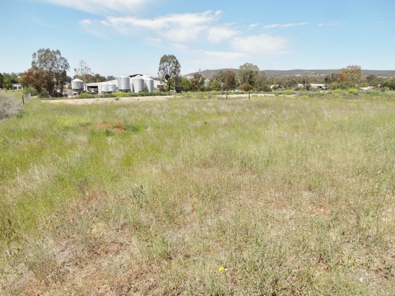 4 Bedford Drive, Gunnedah NSW 2380