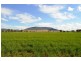 Lot 3 Beeson Road, Gunnedah NSW 2380