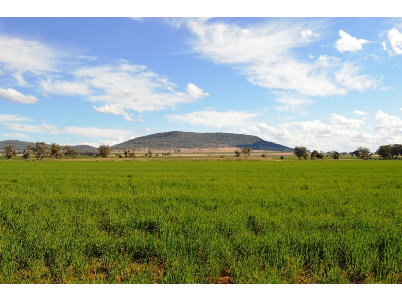 Lot 3 Beeson Road, Gunnedah NSW 2380