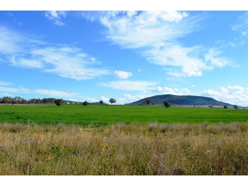 Lot 3 Beeson Road, Gunnedah NSW 2380
